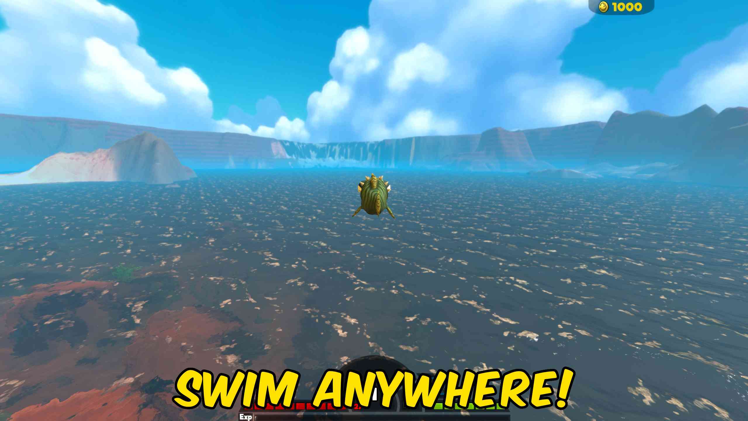 Swim Anywhere
